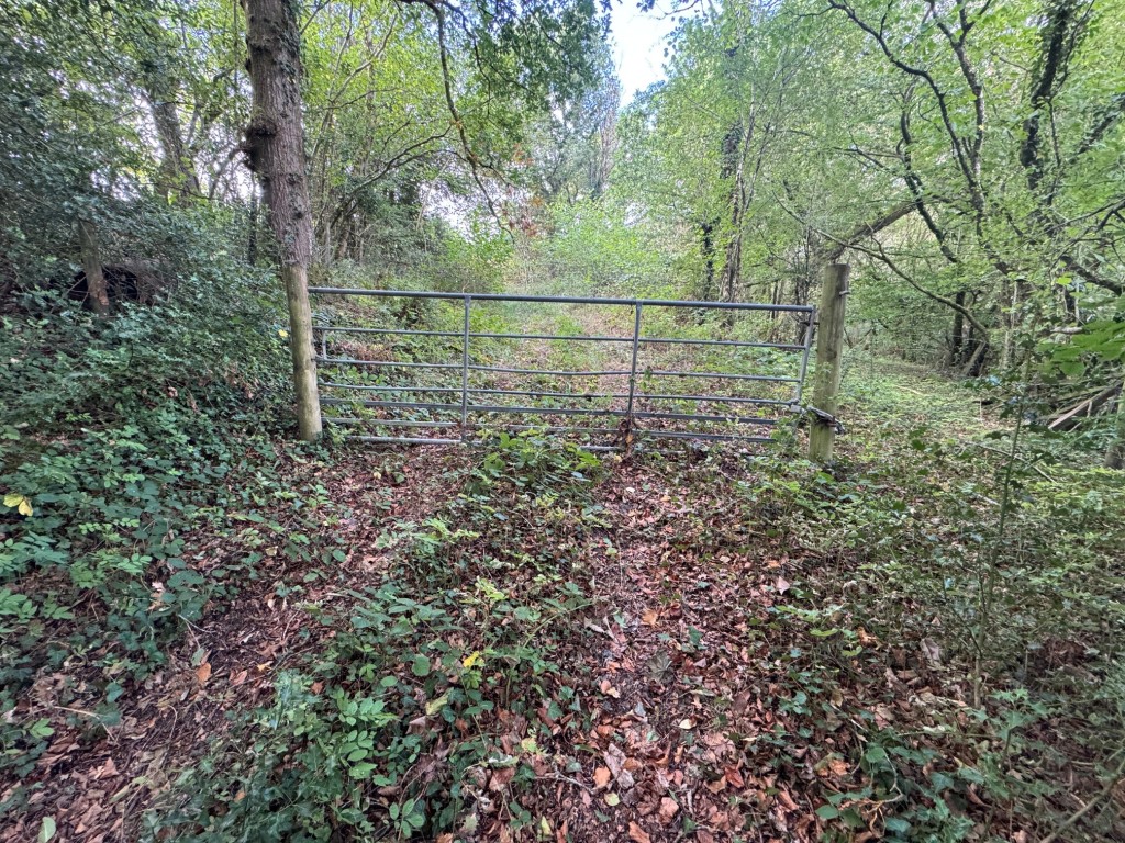 Lot: 23 - FREEHOLD SITE EXTENDING TO ALMOST EIGHT ACRES - View of entrance to the plantation